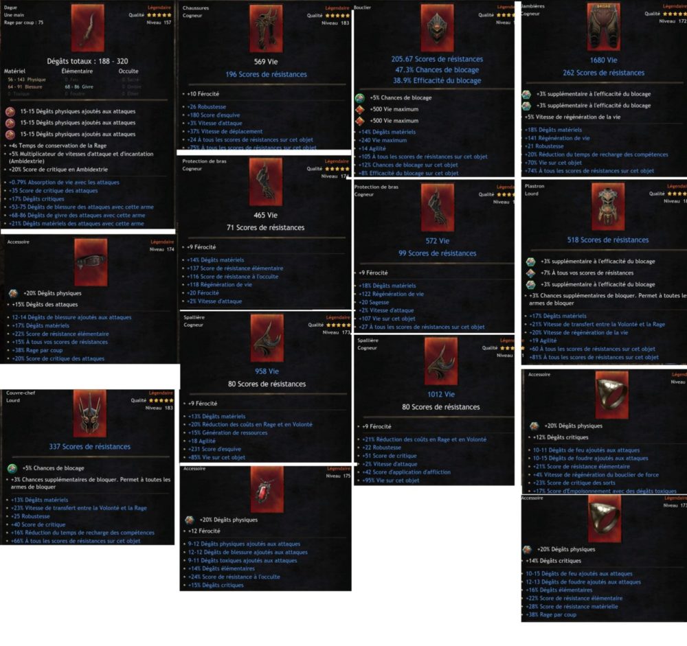 equipement assasin 1.1 wolcen