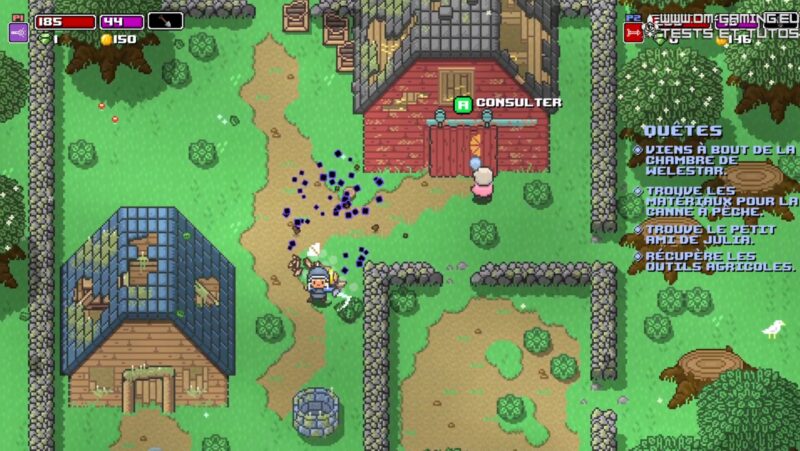 coupage buisson zelda rogue heroes dm gaming